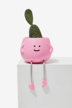 Home Furnishings Shop -Home Furnishings Shop 1683853 78 1