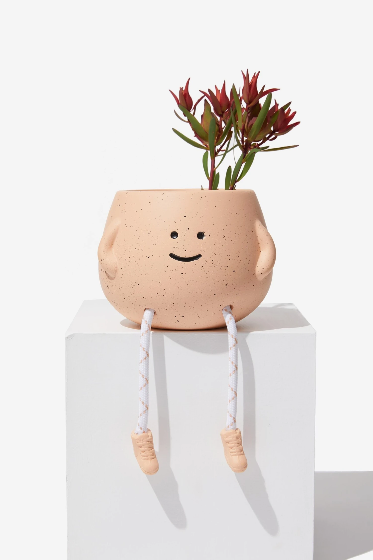 Typo Planters & Vases Midi Shaped Planter 3 Typo Planters & Vases Midi Shaped Planter - Image 2