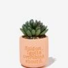 Typo Planters & Vases Tiny Planter With Plant -Home Furnishings Shop 1684113 32 2