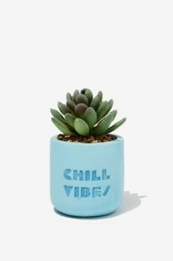 Typo Planters & Vases Tiny Planter With Plant