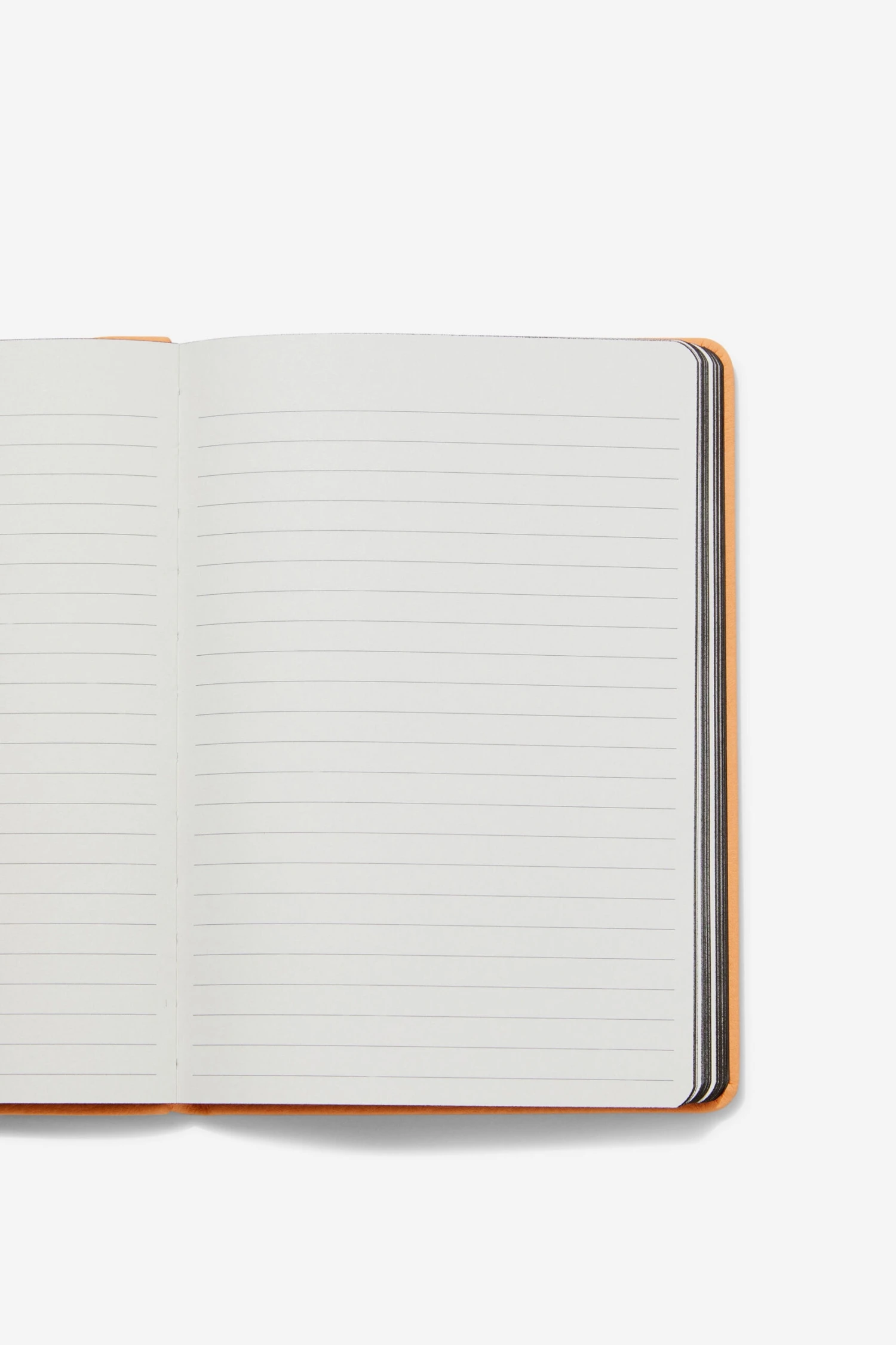 A5 Buffalo Journal Recycled Mix 5 A5 Buffalo Journal Recycled Mix - Image 3