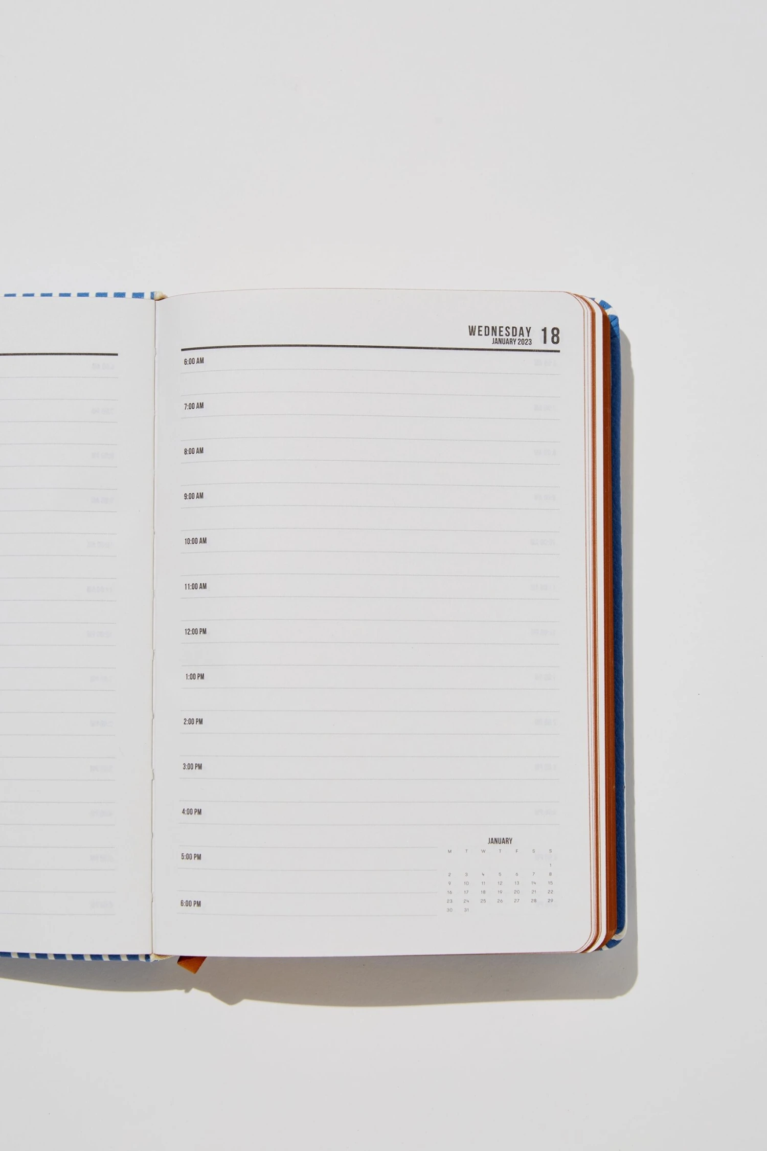 Typo Diaries & Planners Personalised 2023 A5 Daily Buffalo Diary 4 Typo Diaries & Planners Personalised 2023 A5 Daily Buffalo Diary - Image 2