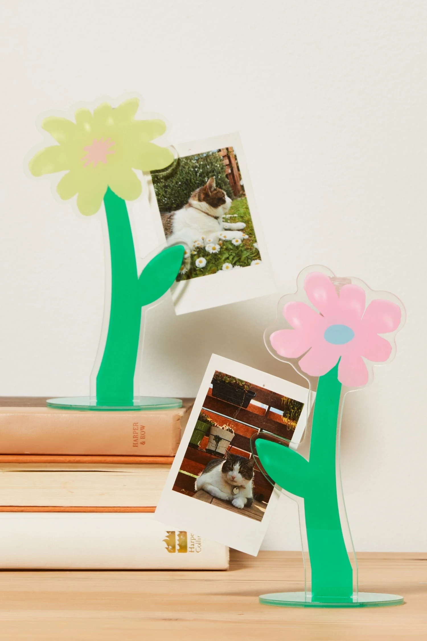 Typo Pencil Cases & Accessories Acrylic Card Holder 2 Pack 3 Typo Pencil Cases & Accessories Acrylic Card Holder 2 Pack